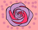 Disegno Fiore di rosa pitturato su davidemasi