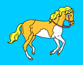 Disegno Cavallo 5 pitturato su ale04