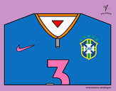 Disegno Maglia dei mondiali di calcio 2014 del Brasile pitturato su stacey