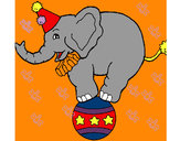 Disegno Elefante sulla palla  pitturato su CRISTINA82