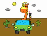 Giraffa guida