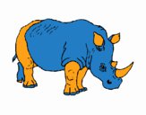 Rinoceronte  3