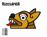 I giorni Aztechi: cane Itzcuintli
