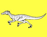 Velociraptor 