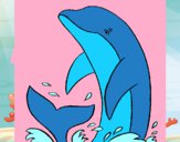 Spruzzi delfino