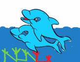 Delfini che giocano