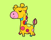 Giraffa vanitosa