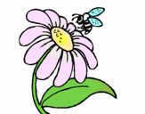 Disegno Margherita con ape  pitturato su alessia07