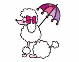 Disegno Poodle con il parasole pitturato su alessia07