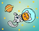 Gattino astronauta