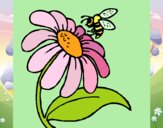 Disegno Margherita con ape  pitturato su gaga