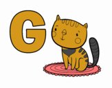 G di Gatto