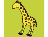 Giraffa  2