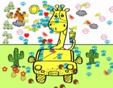 Giraffa guida