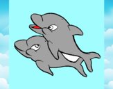 Delfini che giocano