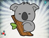 Koala bebè