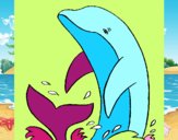 Spruzzi delfino
