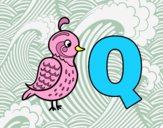 Q di Quetzal