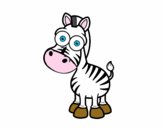 Zebra di Grévy