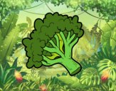 Ramo di broccoli