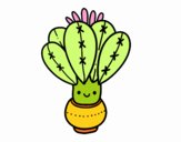 Un cactus con fiore