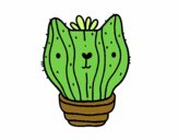 Cactus gatto