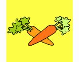 carote 