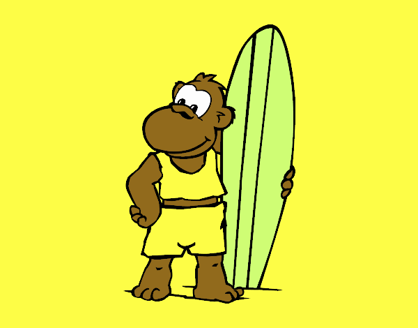Scimmietta surfista