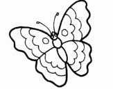 Farfalla 13