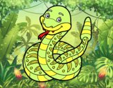 Un serpente a sonaglio