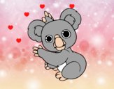 Un koala