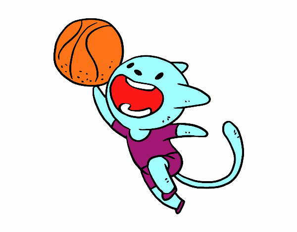 Il   gatto   gioca  a   basket