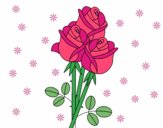 Un mazzo di rose