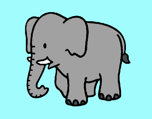 elefante elefantino