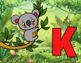 K di Koala