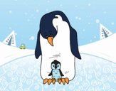 Pinguino con il suo bambino