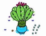 Un cactus con fiore