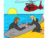 Salvataggio di una balena
