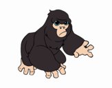 Gorilla di montagna