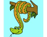 Serpente avvinghiata ad un albero 