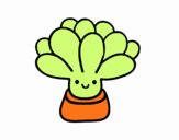 Mini succulente