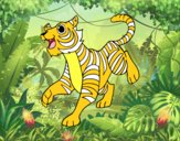 Tigre reale del Bengala