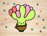 Cactus succulente