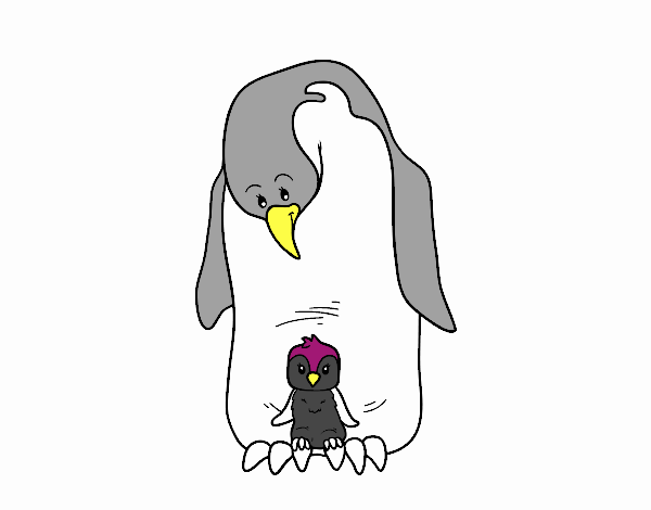 Pinguino con il suo bambino