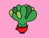 Cactus succulente