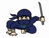 Ninja giapponese