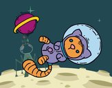 Gattino astronauta