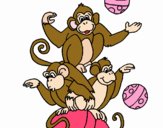 Scimmie giocoliere