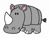 Bambino Rhino