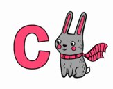 C di Coniglio